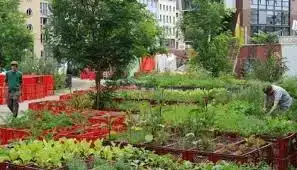 Urbaner Garten, Hochbeete